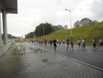 damtotdam2011.jpg